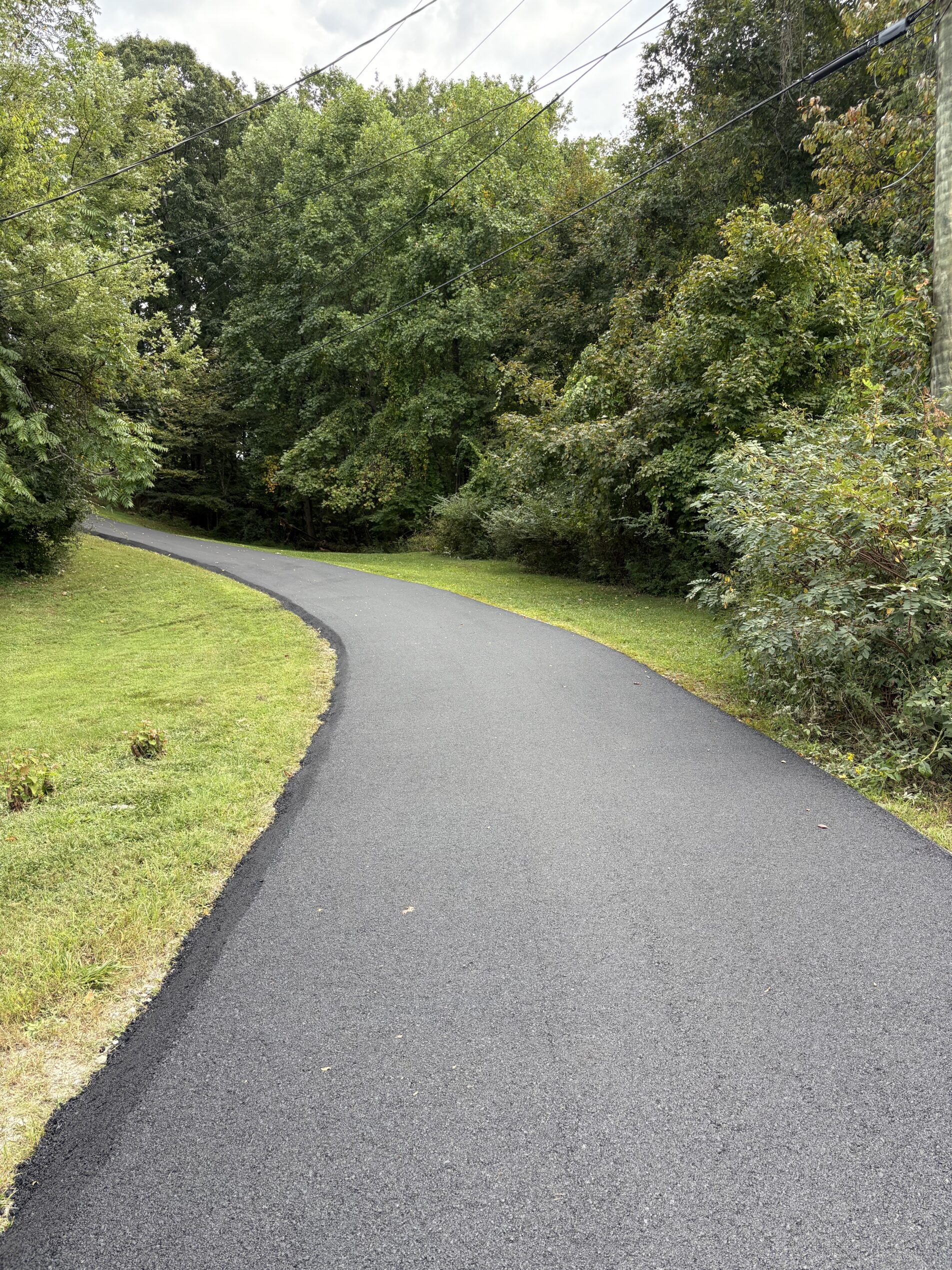 Residential Driveway in West Knoxville